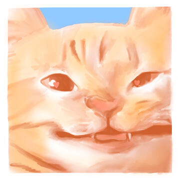 stupey kitty Icon Example 3